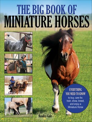 cover image of Big Book of Miniature Horses
